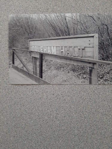 Doleham halt railway station - halt,