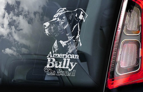 American bully car sticker - bully,