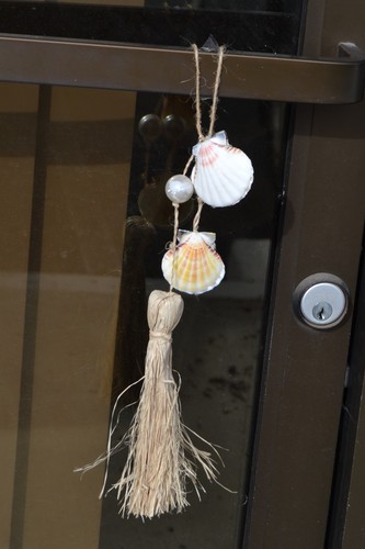 Scallop sea shell hanger - hanger, door