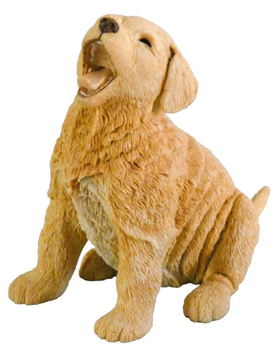 Golden retriever puppy paw - retriever,