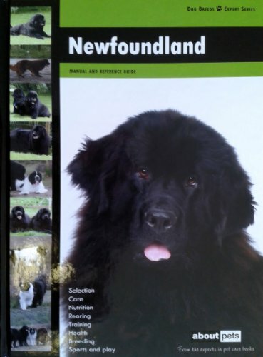 Newfoundland dog breed expert - newfoundland,