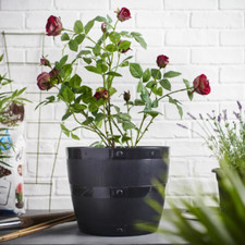 Large 34cm/50cm Barrel Planter