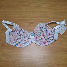 Gorgeous at Debenhams