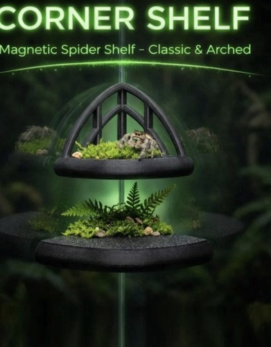 Jumping spider shelf - shelf,