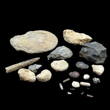 1kg British Fossil Mix x 23 |