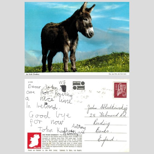 Vintage postcard an - vintage,