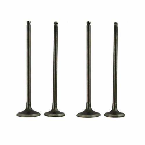 Pair intake exhaust valve - pair,