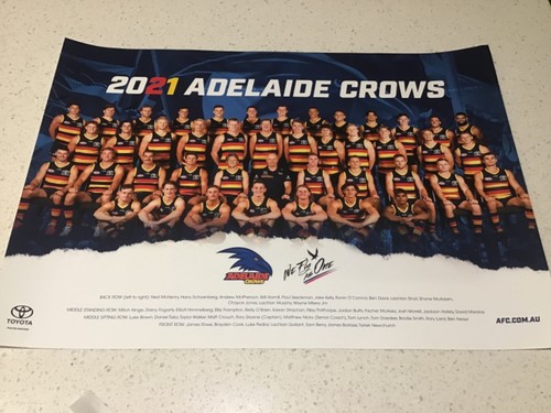2021 adelaide crows afl team - crows,