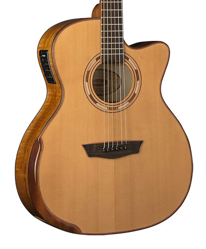 Washburn wcg66sce comfort - washburn,