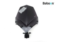 Windshield / Screen Triumph