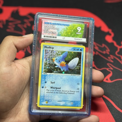 Pokémon tcg mudkip nintendo - mudkip,