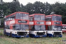 Bus Photo - Magicbus Volvo