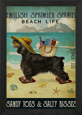 English Springer Spaniel