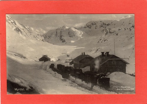 Myrdal railway station - ,