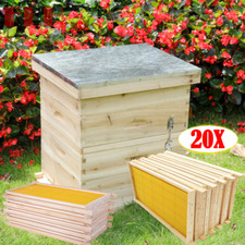 2 Tiers Beehive Box Beekeeping