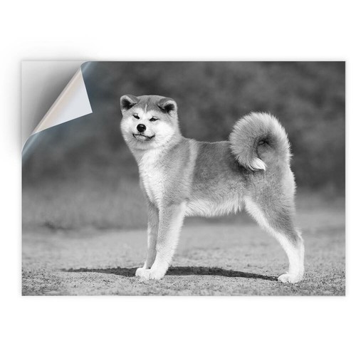 Vinyl sticker bw - sticker,