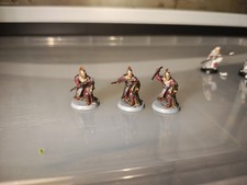 Rohan Royal Guard X3 -