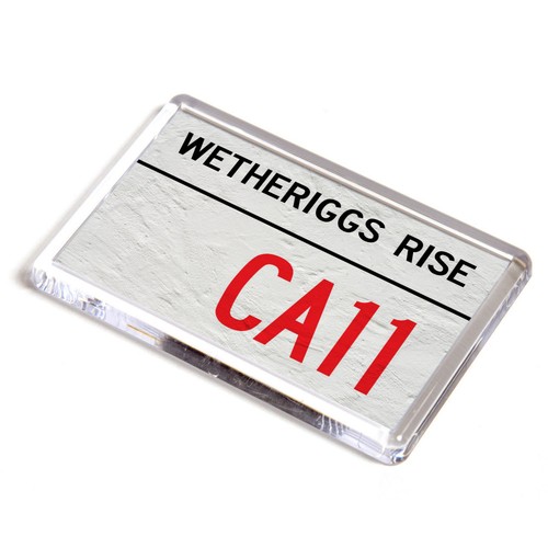 Fridge magnet wetheriggs - magnet,