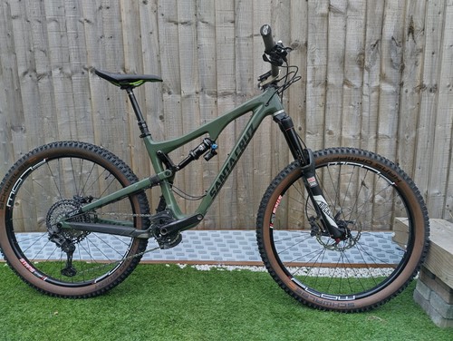 Santa cruz bronson - santa,
