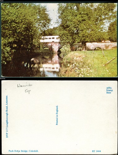 Park horse bridge coleshill - horse, bridge.