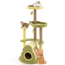 Avocado Cat Tree with Private