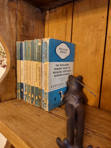 Vintage penguin books bundle - vintage,