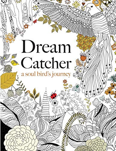 Dream catcher soul - soul, bird's