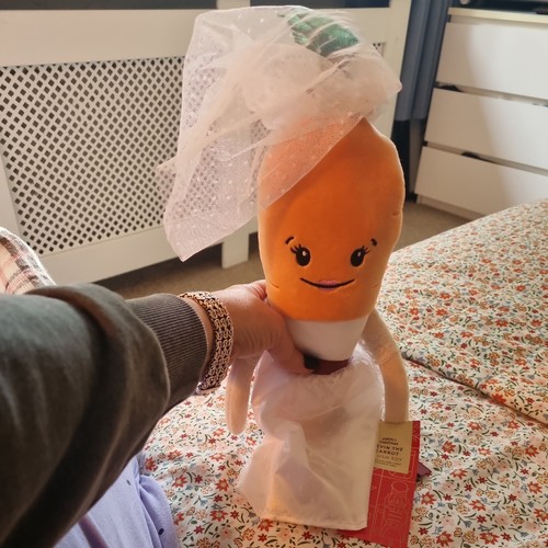 Bnwt kevin the carrot - bnwt,