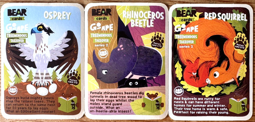 Yoyo bear animals full - bear, |