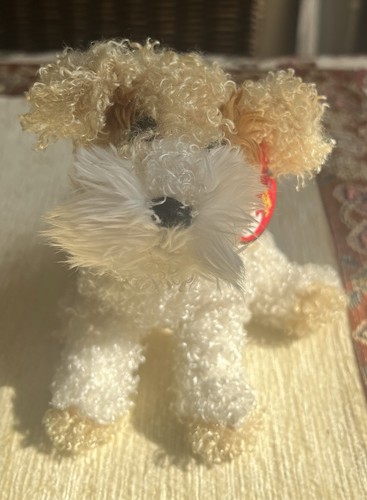 Scrappy wire fox terrier - scrappy,