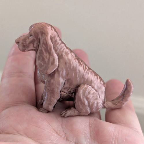 Cocker spaniel dog miniature - dog,