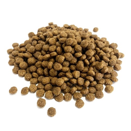 Maltbys stores 5kg hedgehog - maltbys',
