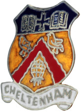 Cheltenham Town Small Pin
