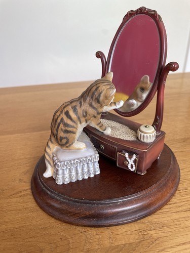 Cat looking mirror fine - in, a