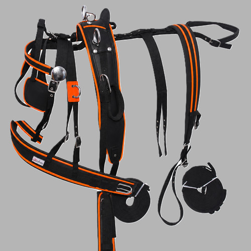 Nylon webbing driving - webbing, harness