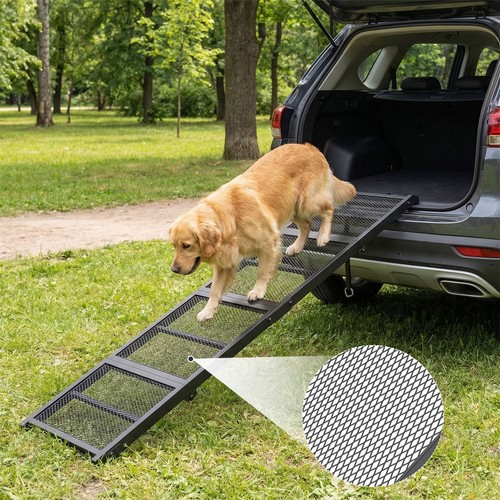 Dog ramp portable - dog, pet