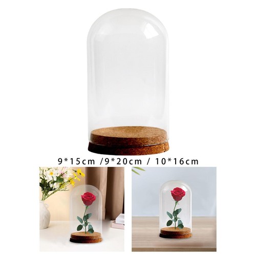Preserved flower glass - flower, cover