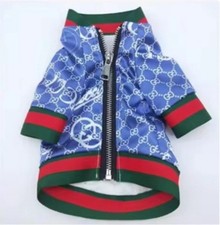 Gucci Blue Patterned Dog