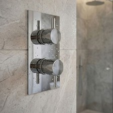 Concealed Thermostatic Shower