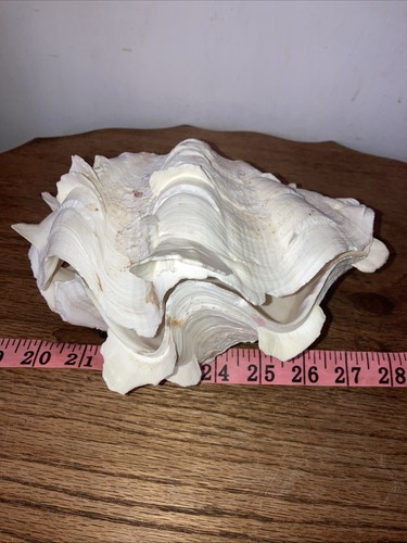 Vintage natural ruffled - vintage,