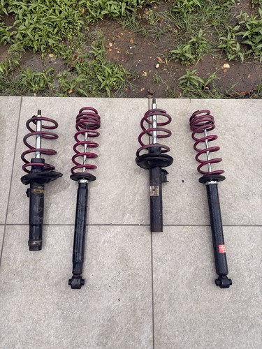 Vogtland lowering springs - springs, 30mm
