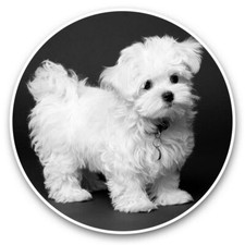 2 x Vinyl Stickers 7.5cm (bw)