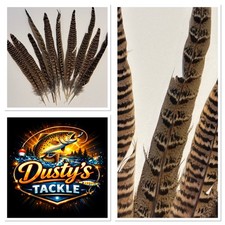 Hen Pheasant Tail Feathers