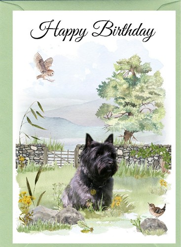 Cairn terrier dog - terrier, (4"x