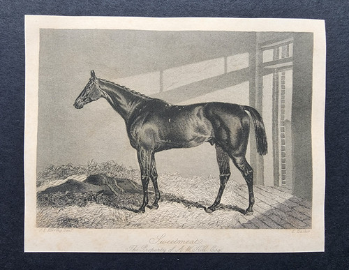 Antique 1846 print - 1846,