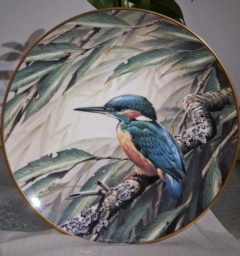 Wedgwood decorative plate - decorative,