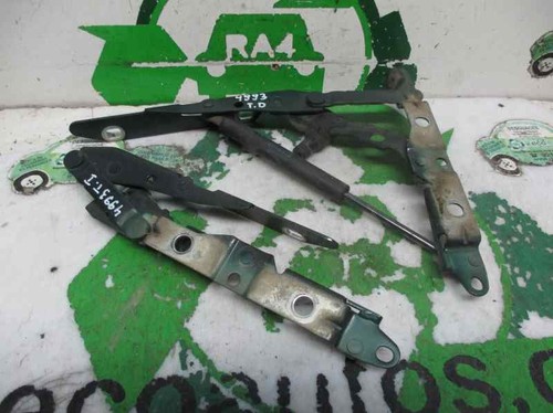 Tailgate gas strut - gas, 1246207