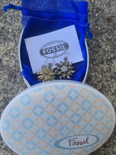 Vintage fossil sunflower - vintage,