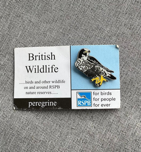 Rspb peregrine falcon - rspb,