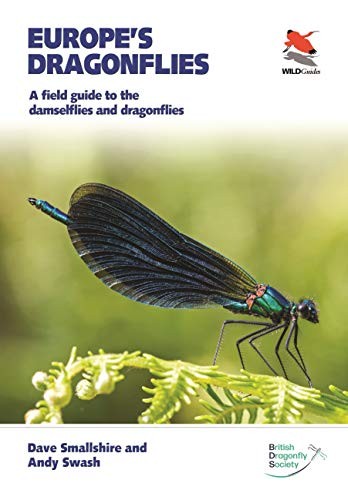Europes dragonflies field - europes,